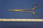 Sicoa Forceps Hemo Rankin Straight Jaw 6inch
