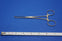 Weck 500-311 Forceps Tissue Allis Dsgn 6inch Length