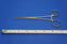 Codman Forceps Tissue Allis Dsgn 6inch Length