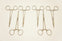 Solway Forceps ~ Lot of 6