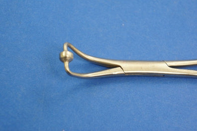 SS Forceps 5.5in.