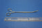 Vantage Forceps Kidney Stone Removing Randell Quarter Curved 9