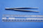 Dixon Forceps Tissue 5.5