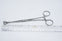 Babcock Tissue Holding Forceps 6-1/4inch
