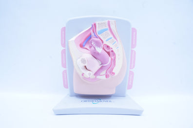 Ortho-Mcneil 02F132 PharmaDesign OMI (x)