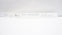 Covidien 85863 Shiley Intubating Stylet 6Fr/Ch (x)