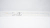 Cordis 451-507V0 Angiographic Cath. 5f x 65cm x 0.38In MP A1 Open End (x)