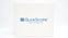 Glide Scope 0574-0101 Laryngoscope GVL 4 Stat (x) - Box of 10