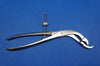 Solway Forceps Bone Holding Kern, Length 10.25