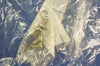 Drager 4208796 Sap Batch 
