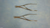 Retractor Lap Set