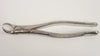 Orox Extracting Forceps Stainless Germany 6-1/2in