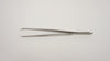 Dixon Fixation Forceps 4-1/2in 5x6 Mouse Teeth Stainless