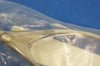 Solway Speculum Septum Cottle Design with Thin Modified Blades