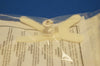 Portex H4052 Portex Neonatal/Pediatric Endotracheal Tube Holders Size 3.0mm (x)