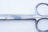 AP Scissors General Straight, 5-1/2 in