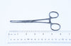 Allis Holding Forceps, Length 6inch