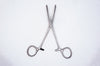 Forceps Hemostatic 6-1/2 inch.