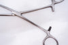 Forceps Hemostatic 6-1/2 inch.