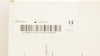 Covidien PPM1515X3 Parietene Macroporous Mesh 15cm x 15cm - Box of 3