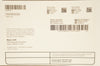 Boston Scientific 210164 High Pressure Nephrostomy Balloon Cath Kit 30Fx 15cm(x)