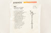 Avanos 0100-12LV Mic Gastrostomy Feeding Tube 12Fr x 2-3ml