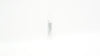 Aspen Surgical 373910 Bard Parker Protected Blade Stainless Steel #10 (x)