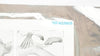 ConvaTec 422605 Aquacel Ag Advanced Antimicrobial Dressing 3.5inch x 10inch (x)