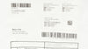 Boston Scientific M00568210 EndoVive Standard PEG Gastrostomy Kit 20F(x)